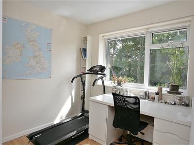 Picture 12